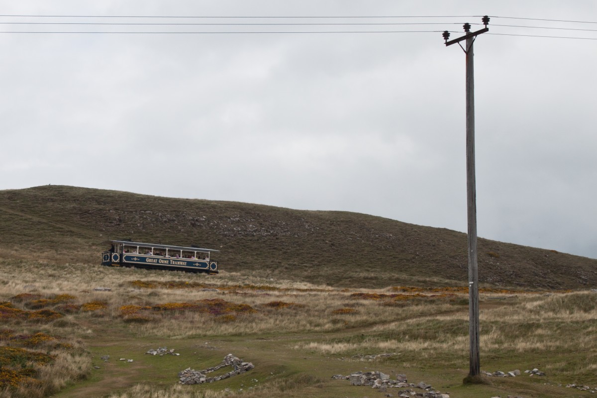 - Tramffordd y Gogarth -
Seit 1902 knnen Kur- und andere Gste vom Seebad Llandudno mit der  Strassenbahn  auf den 207 Meter hohen Great Orme oder walisisch Pen y Gogarth fahren. 
Diese gliedert sich in zwei Sektionen. Beide weisen eine Spurweite von 1067mm auf. Whrend die untere Sektion, die teilweise durch die Strassen von Llandudno fhrt als Kabelstrassenbahn hnlich der Cable Car in San Francisco ausgefhrt ist, ist die obere Sektion eine klassische Standseilbahn. 
Die Bahn fhrt in der Saison alle 20 Minuten, bei grossem Andrang alle 10 Minuten, wobei in der Mittelstation jeweils direkter Anschluss besteht. 
Hier konnte ich Wagen 7 auf den letzten Metern der oberen Sektion ablichten. 
Llandudno, 3. September 2013