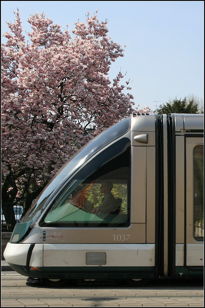 . Viel Glas - 

Die Fahrerkabine der Eurotram von Straßburg ist ein eigenständiges Modul. 

21.04.2006 (M)