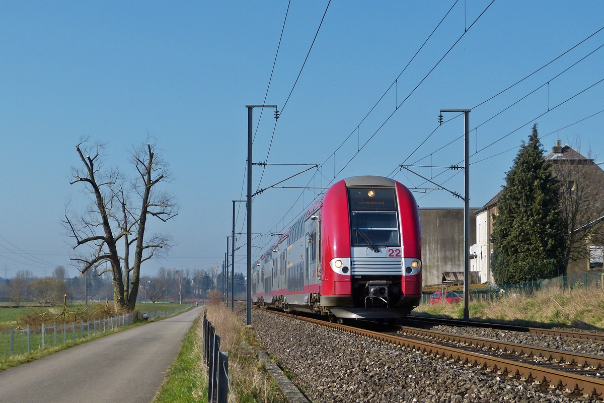 . Vorfrhling in Luxemburg - Der Schock sass tief, als wir heute den schnen alten Baum an der Bahnstrecke zwischen Lintgen und Mersch sahen. Er wurde fast aller seiner ste beraubt, die nun als einen Haufen Abfall daneben liegen.

Die Computermaus Z 2222 fhrt als RB 3239 Wiltz - Luxembourg in der Nhe von Rollingen an dem einstigen Prachtstck von einem Baum vorbei. 11.03.2014 (Jeanny)
