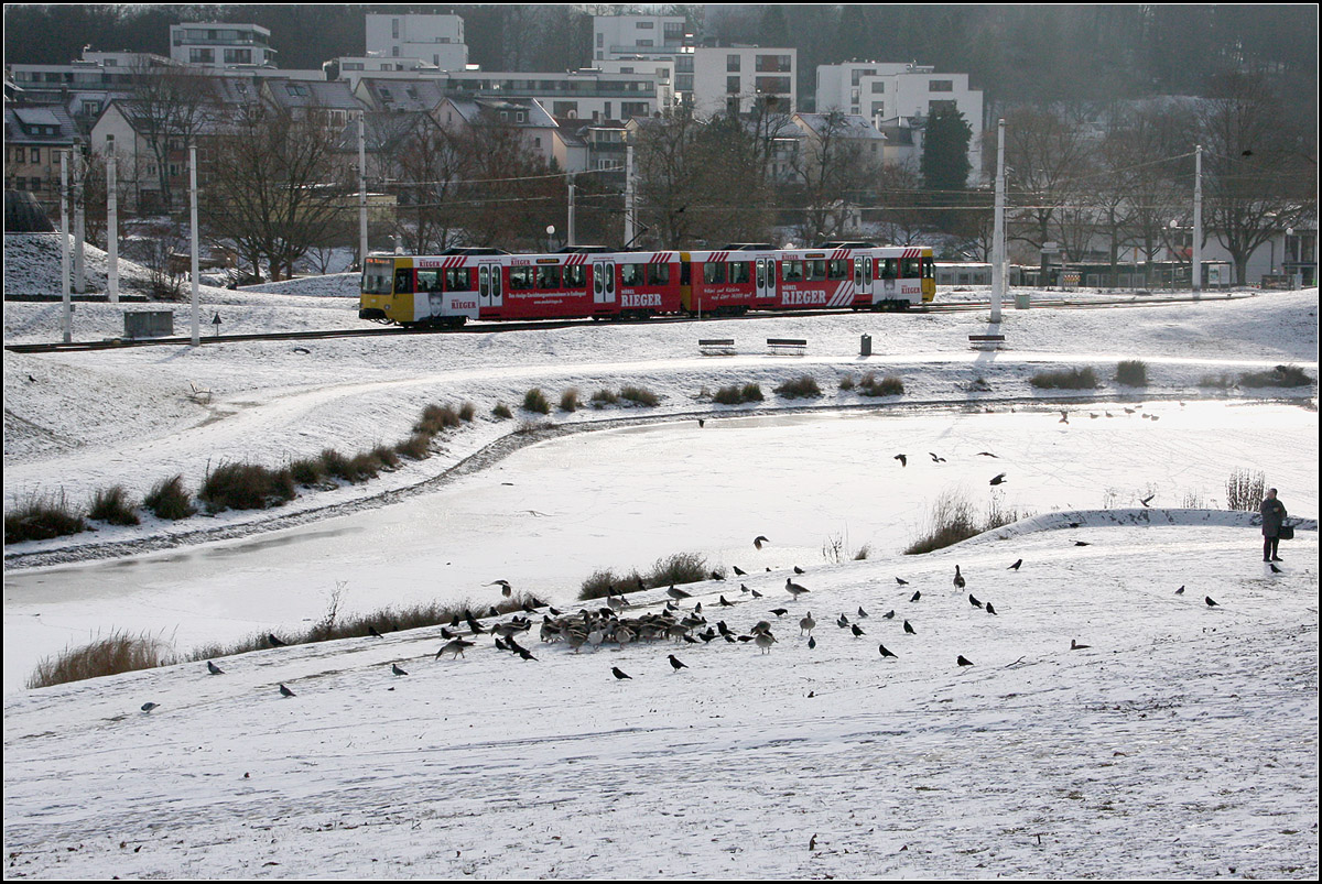 . Winter im Park -

Rabenkrähen und Gänse kämpfen ums Futter während auf der anderen Seite des zugefrorenen Teiches eine Stadtbahn der Stuttgart U14 den Park durchfährt.

18.01.2017 (M)