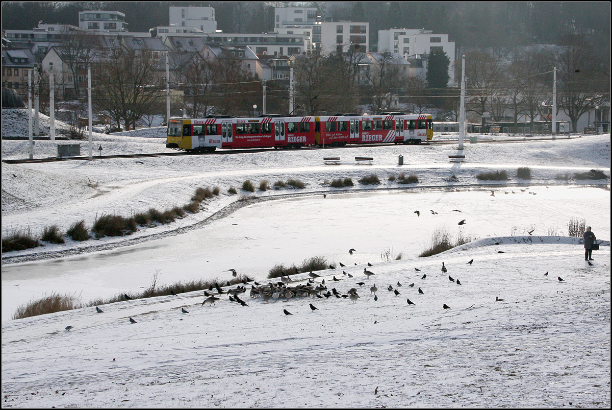 . Winter im Park -

Rabenkrähen und Gänse kämpfen ums Futter während auf der anderen Seite des zugefrorenen Teiches eine Stadtbahn der Stuttgart U14 den Park durchfährt.

18.01.2017 (M)
