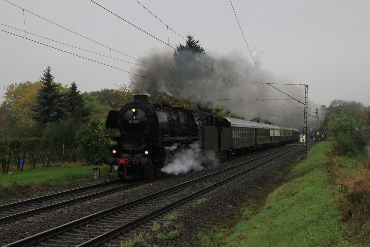 01 1066 mit UEF-Sonderzug am 20.10.2013 bei Lauffen.