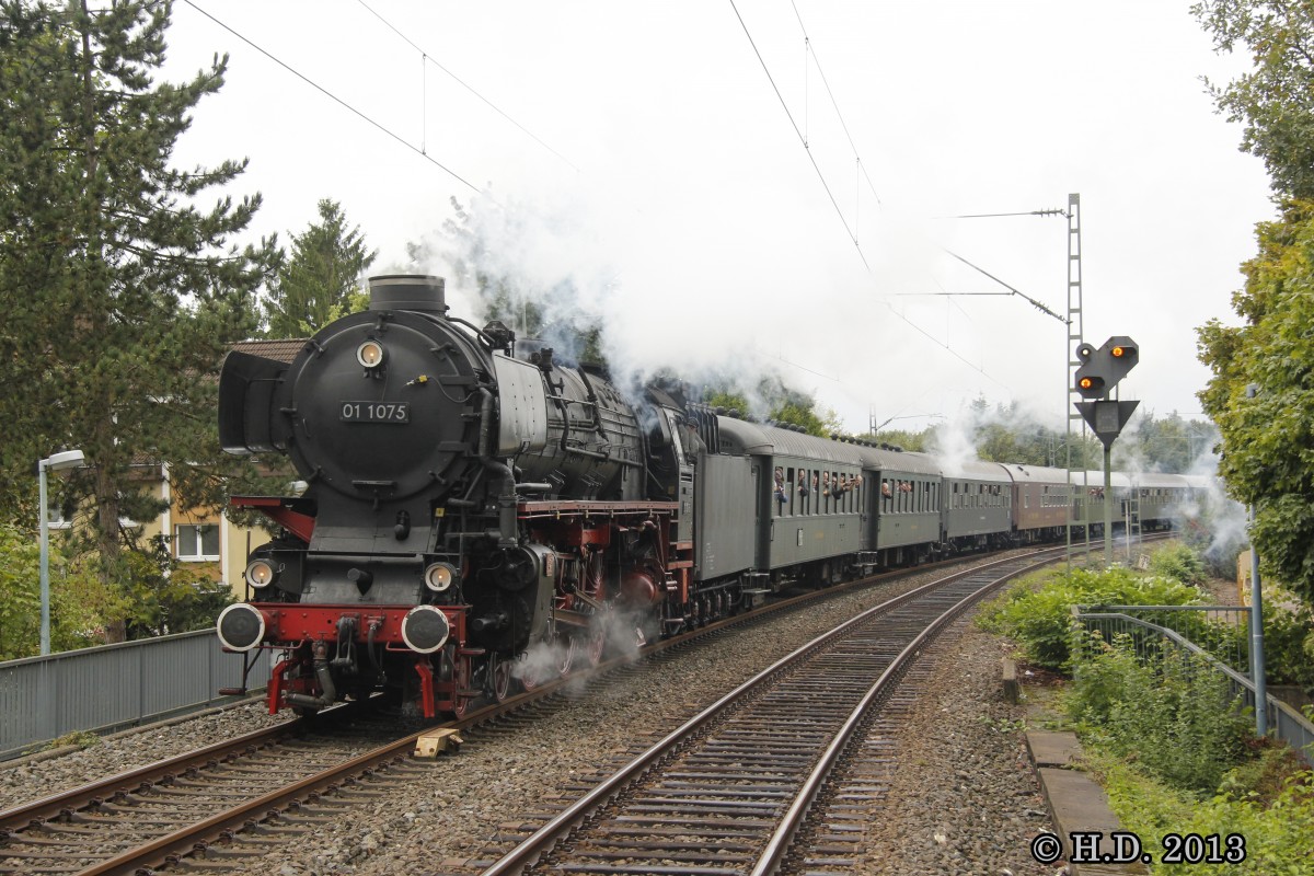 01 1075 mit Sonderzug von Rotterdam ins Eisenbahnmuseum Bochum Dahlhausen bei der Durchfahrt in Essen Horst, September 2013.