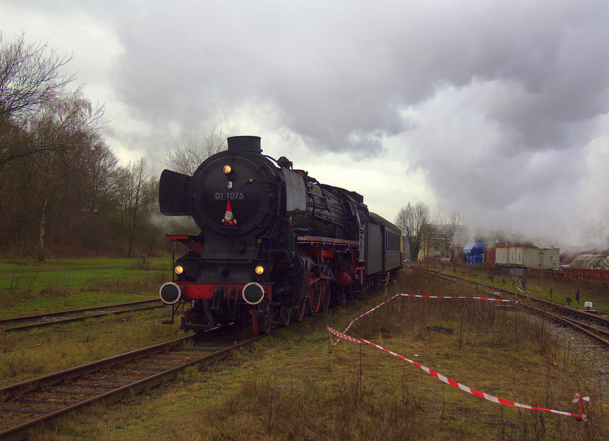 01 1075 von SSN kommt mit viel Dampf mit einem Sonderzug aus Schin-op-Geul(NL) nach Simpelveld(NL) und fährt gleich in Simpelveld(NL) ein. Aufgenommen in Simpelveld(NL). Bei Regenwolken am Kalten Mittag vom 30.12.2018.