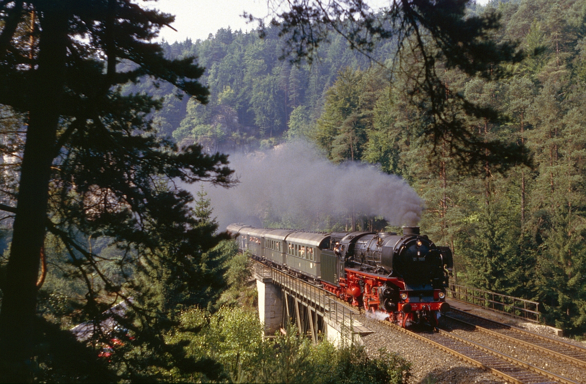 01 1100 wird mit ihrem Sonderzug nach Bayreuth in Krze den Hufstttetunnel bei Rupprechtsstegen verruchern (Juni 1985).