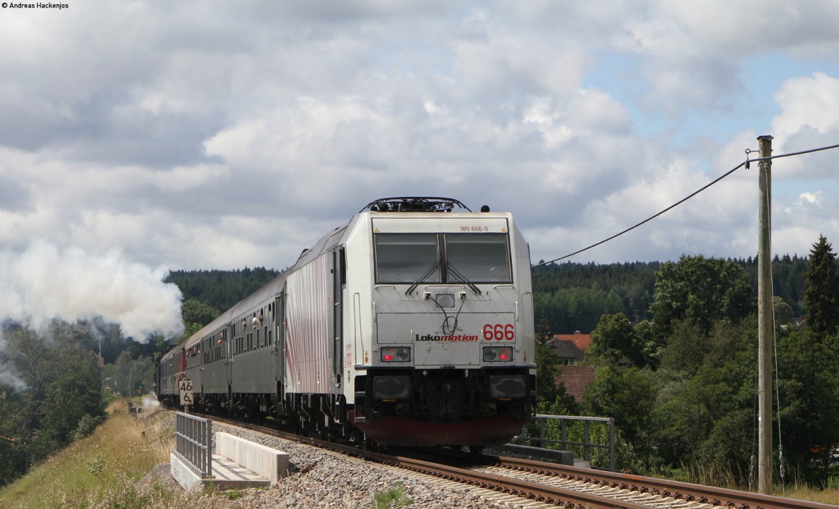 01 1533-7 und 185 666-5 mit dem DPE 12 (Stuttgart Hbf-Seebrugg) bei Unadingen 16.8.14