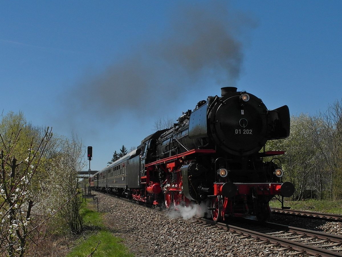 01 202 mit einem Sonderzug des Vereins Pacific 01 202 auf der Fahrt von Schaffhausen nach Dresden (Ulm-Donautal, 15.04.2015).