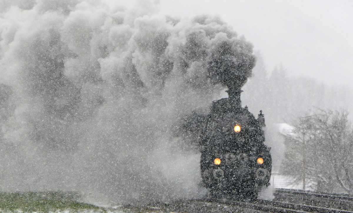 02.04.2022, 16.24 Uhr, Allgäubahn Heimenkirch-Röthenbach:
Nach der Überführung der SBB C 5/6 2978 von Nördlingen bis Friedrichshafen Stadt führte die bay S3/6 3673 den Sonderzug von Friedrichshafen Stadt zurück nach Nördlingen, hier in voller Fahrt [KBS 970; km 117,3] auf der Steigung zwischen Heimenkirch und Rufschranke Riedhirsch.