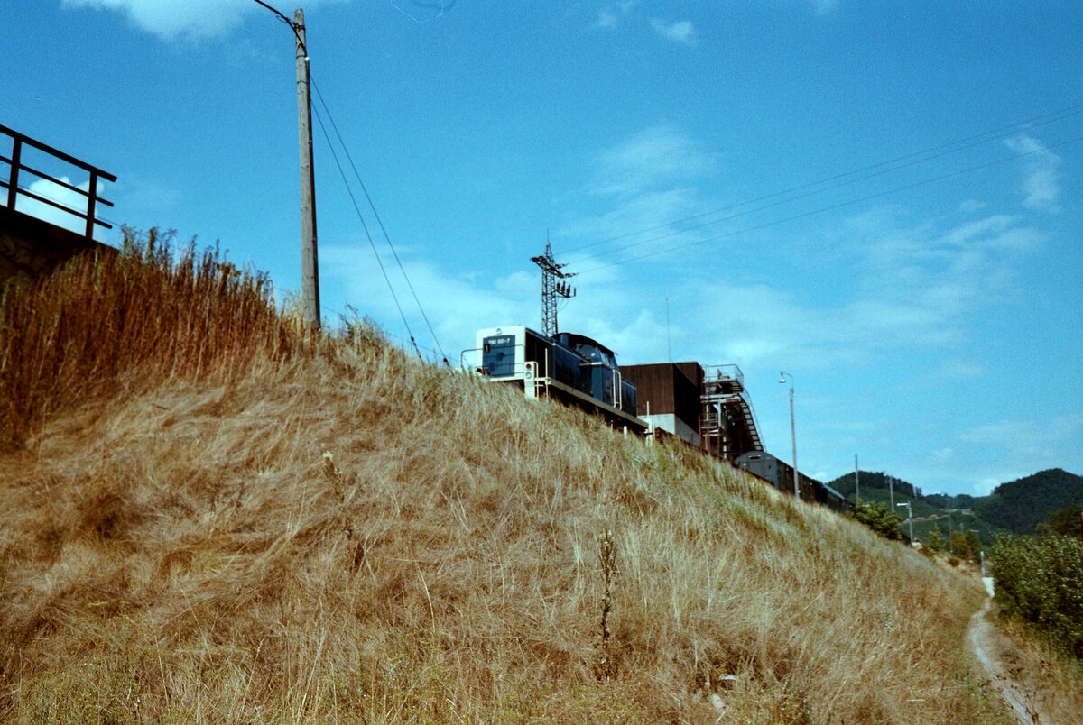02.09.1983: Bauzug der Kinzigtalbahn bei Schenkenzell mit DB-Lok 290 001-7 
