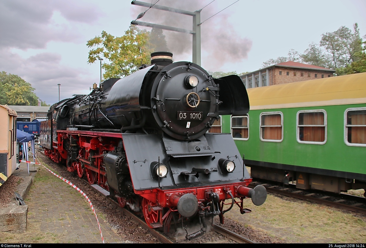 03 1010-2 der Traditionsgemeinschaft Bw Halle P e.V. absolviert Führerstandsmitfahrten anlässlich des Sommerfests des DB Museums Halle (Saale) unter dem Motto  Diesellokomotiven der ehemaligen DR  auf dem Gelände der DB Werkstatt Halle (Saale).
[25.8.2018 | 14:24 Uhr]