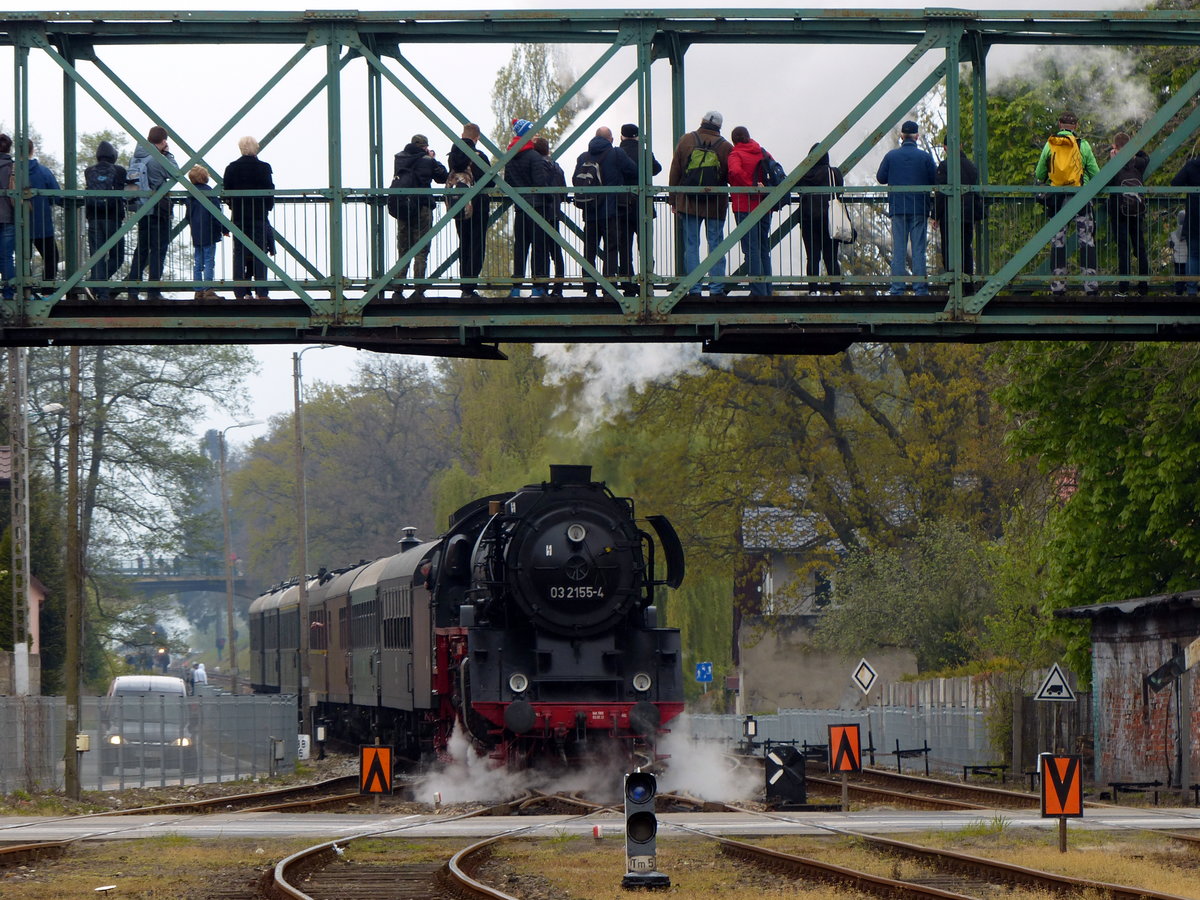 03 2155-4 macht Eindruck auf die wieder zahlreich erschienenen Besucher der Dampflokparade. Noch ist es trocken ... Wolsztyn, 29.4.2017