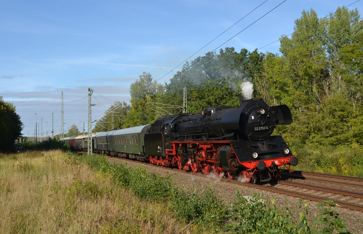 03 2155 bespannte am 20.09.19 einen Sonderzug von Berlin Schöneweide nach Leipzig Hbf. Nachdem in Muldenstein der Fernverkehr vorbei gelassen wurde konnte auch der Sonderzug seine Fahrt fortsetzen.