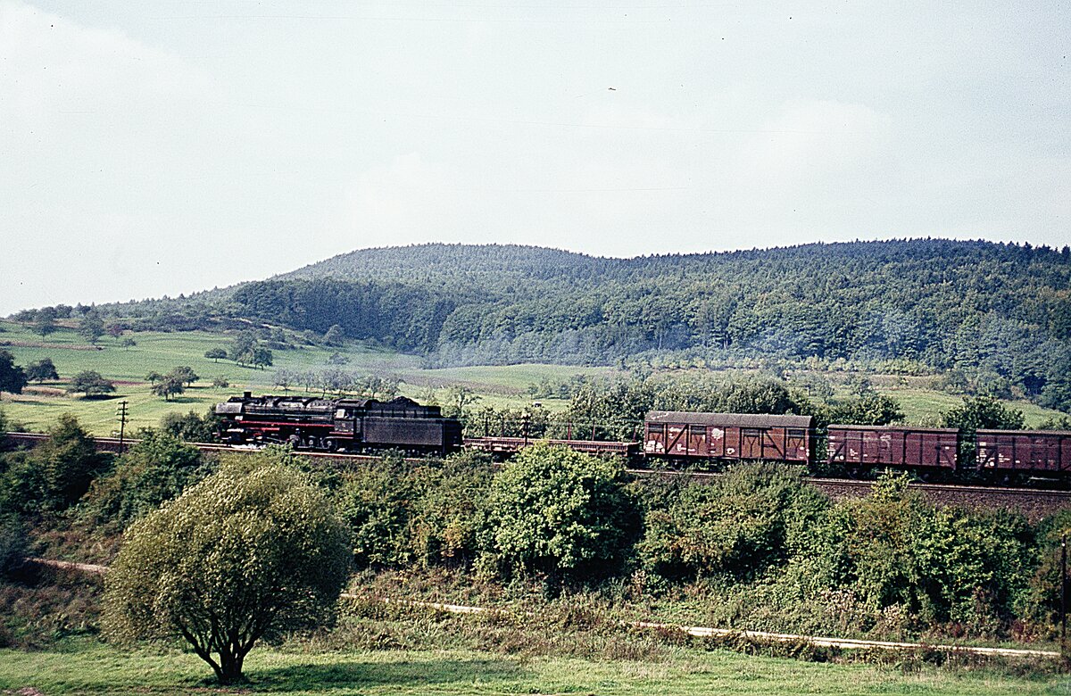 044 339  mit Güterzug  Streckenfoto