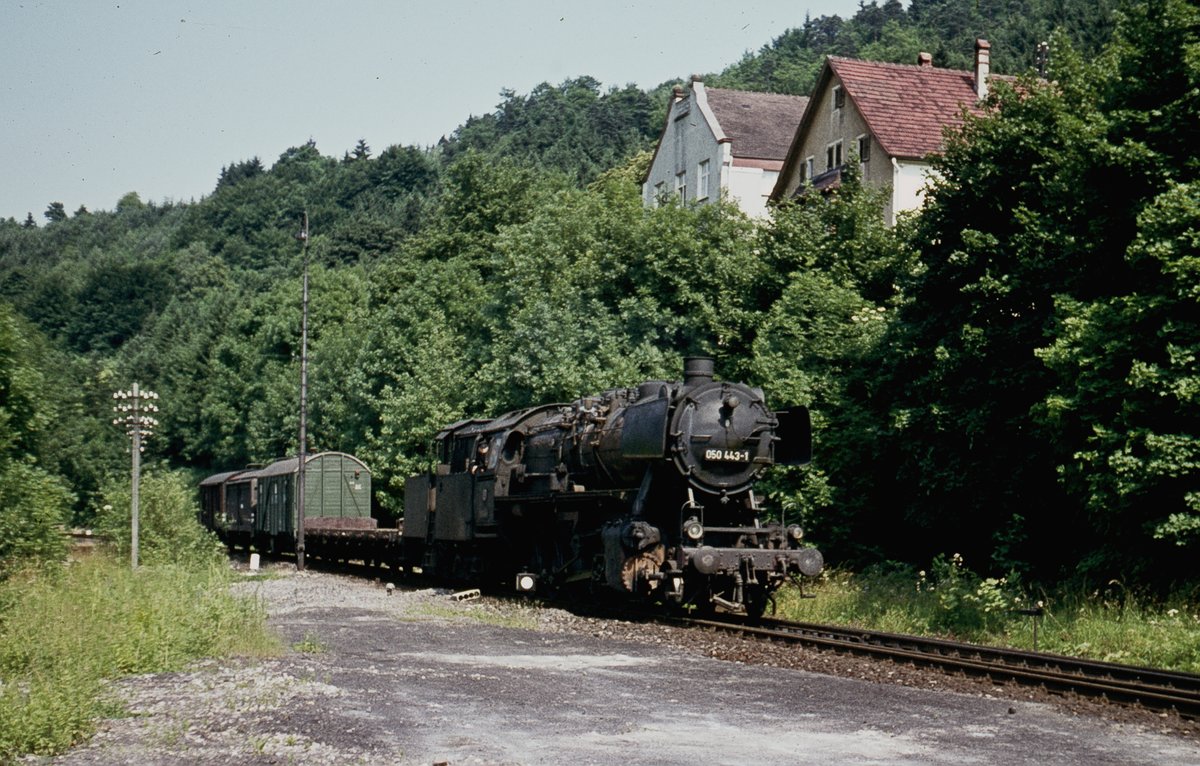 050 443  mit Güterzug   Horb