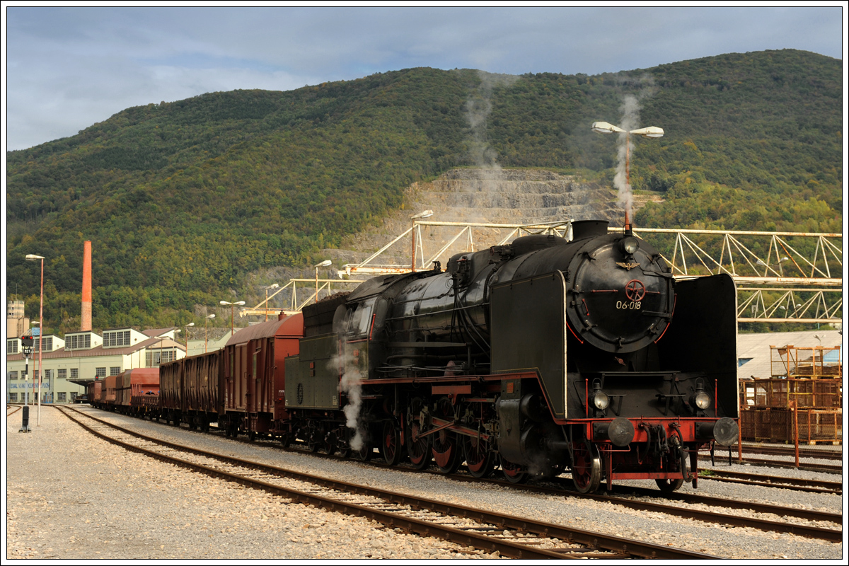 06-018 am 8.10.2015 mit ihrem Fotozug 17029 beim Halt in Anhovo.