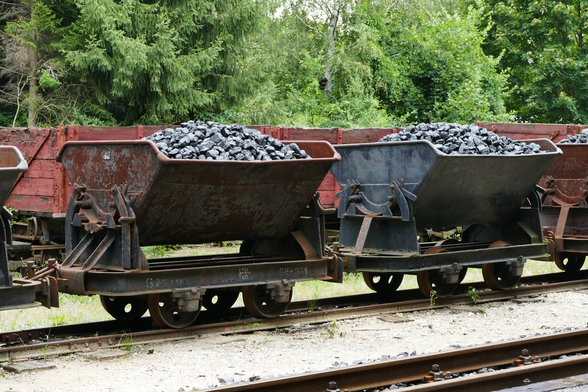 06. August 2016, Auf dem Betriebshof der Waldeisenbahn Bad Muskau in Weißwasser, Teichstraße. Wie man sieht, ist der heutige Dampf-Betriebstag kohlemäßig abgesichert.