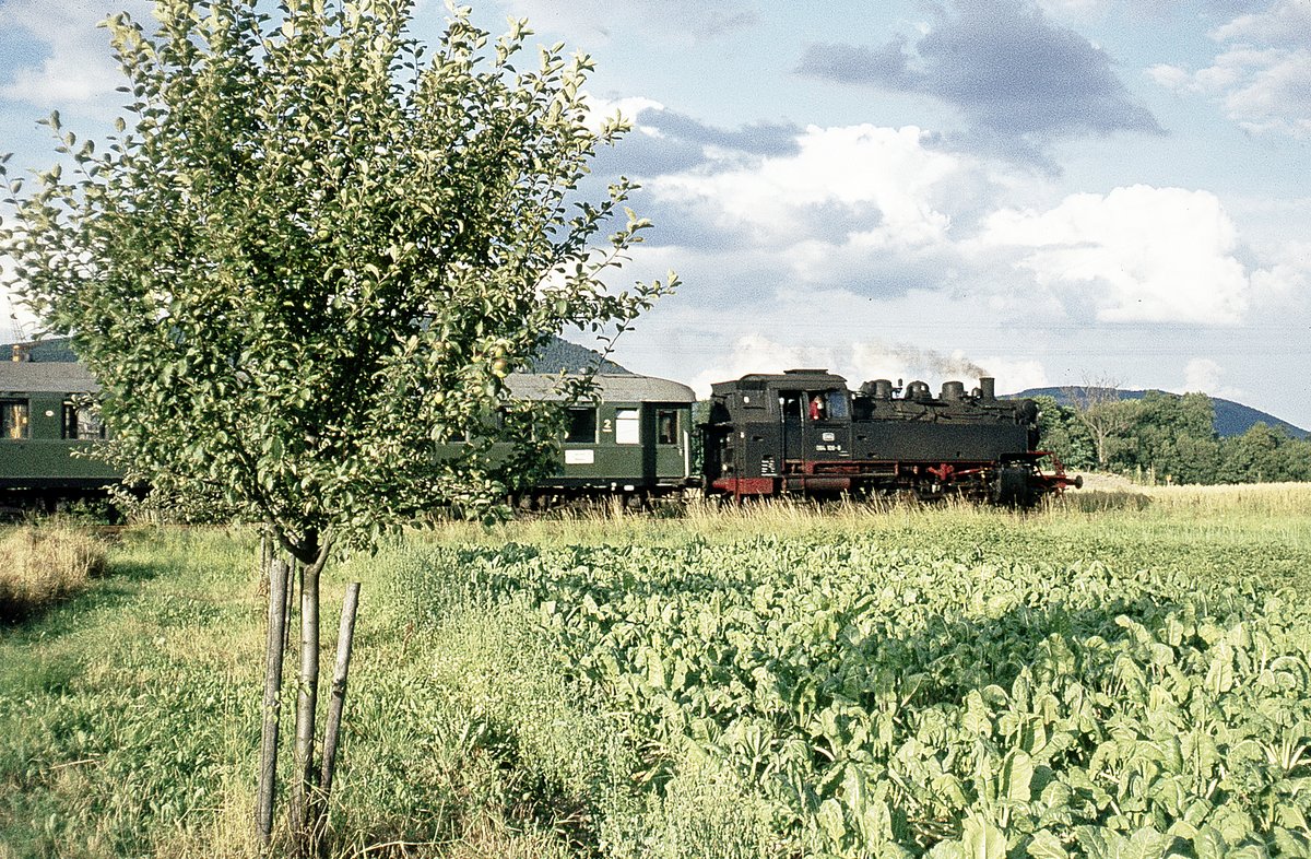 064 106 mit altem Eilzug-Wg. bei Miltenberg