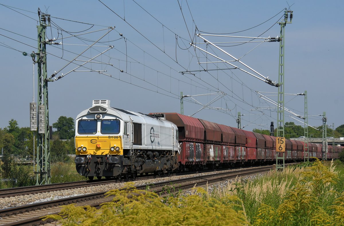077 018 am 10.09.16 bei München-Feldmoching