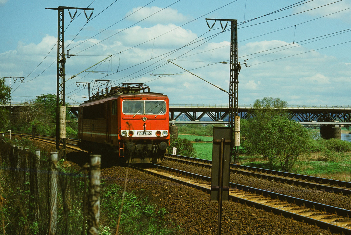 08. Mai 1985: Die E-Lok 250 238 der DR als Lz in Dresden-Briesnitz. Ihr Fahrziel ist der Rangierbahnhof Dresden-Friedrichstadt (Strecke 243). Die Lok wurde 2014 an die PRESS verkauft und läuft dort blau lackiert als 155 045. Im Hintergrund ist die Autobahnbrücke über die Elbe zu sehen.