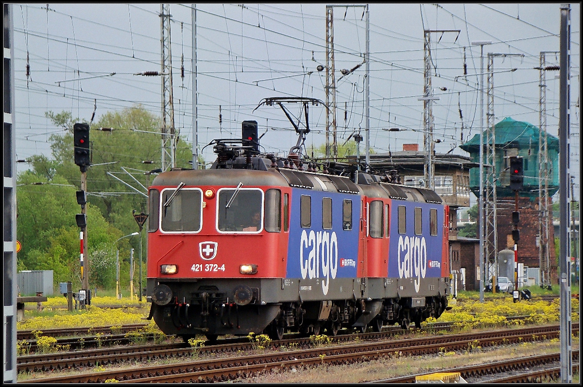 09.05.14 Stralsund Hbf - 421 372-4 & 421 396-3 unterwegs nach Rostock 