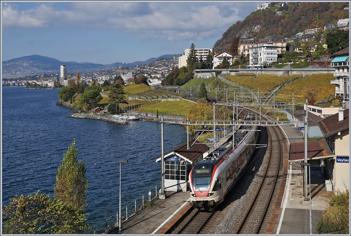 10 Jahre digitale Fotografie - und was sich in dieser eigentlich kurzen Zeit alles verändert hat!
Zehn Jahre später haben FLIRTs das Zepter übernommen und so konnte am 3. Nov. 2016 diese Aufnahme bei der Haltestelle Veytaux Chillon gemacht werden.