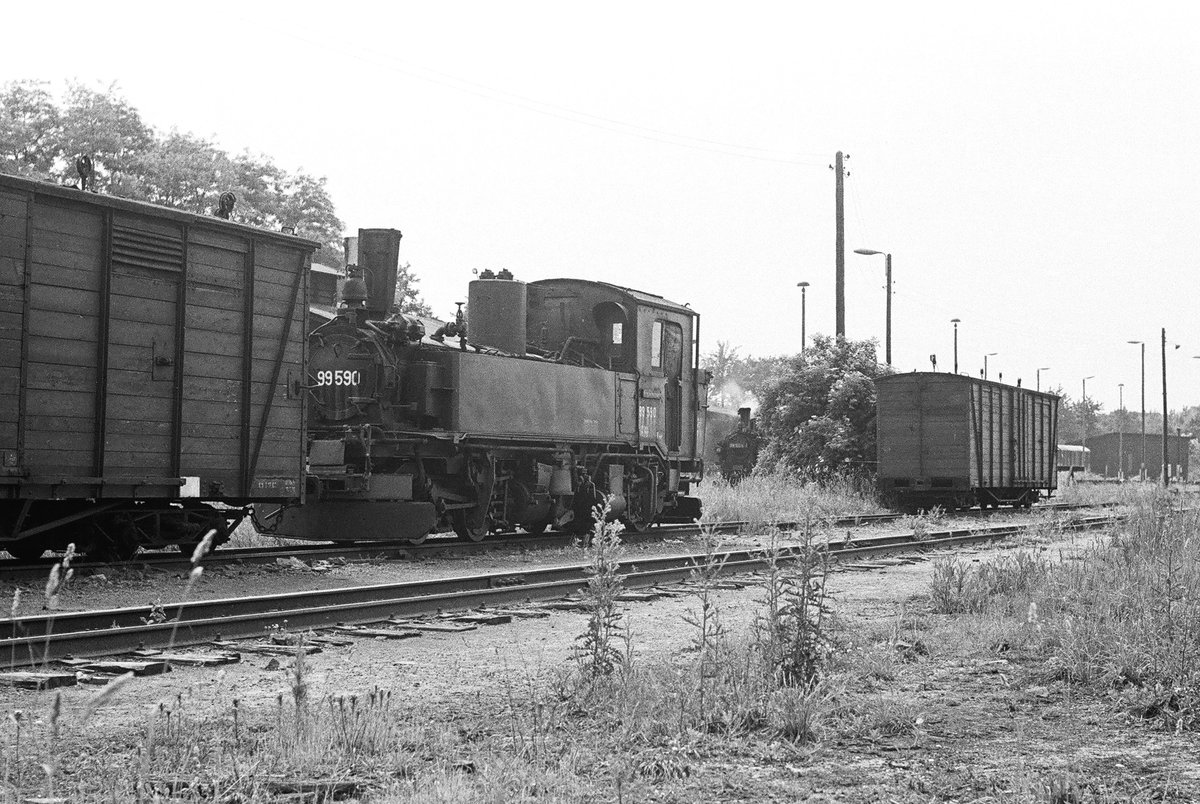 10. Juni 1982, im Schmalspurteil des Bahnhofs Oschatz ist Lok 99 590 kalt abgestellt. 