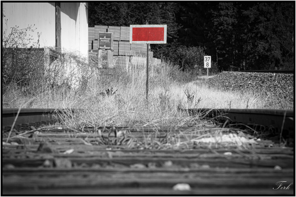 10 Meter Schienen findet man fast nirgends mehr ausser bei uns vor der Haustüre. 
Das einstige Anschlussgleis der Landwirtegenossenschaft ist allerdings seit Jahren undbenutzt. 22.07.2021
Bild vom Bahnübergang aus gemacht. 