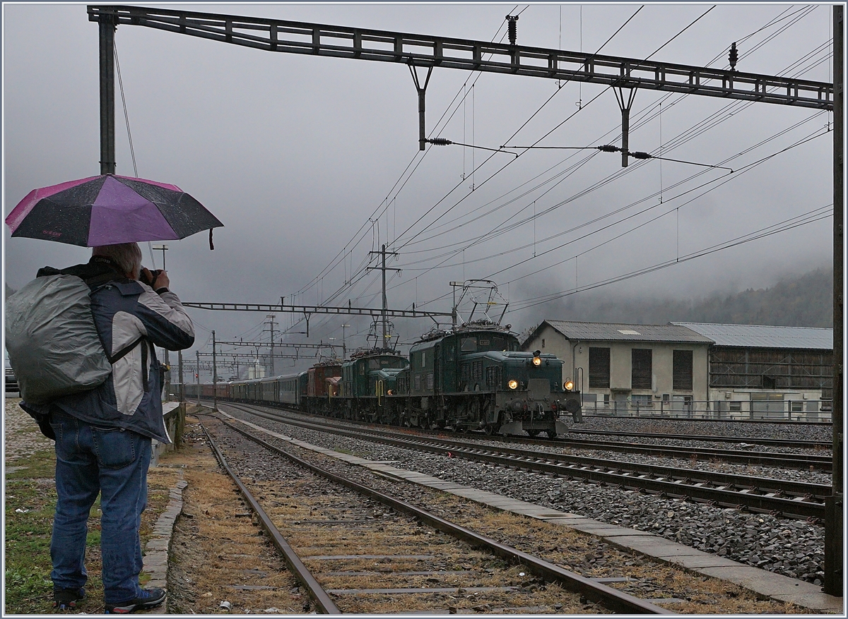 100 Jahre Krokodil. Der Extrazug mit den drei Krokodilloks zum 100 Jahre Krokodil-Jubiläum erreicht Ambri-Piotta, und dies wie schon in Airolo weitaus früher als erwartet, so dass kaum Zeit blieb, eine bessere Fotostelle zu finden.

Zur Vervollständigung: Der Zug wird angeführt von der Ce 6/8 III 14305 (9185 4601 305-6), dann folgt die SOB Be 6/8 III 13302 (91 85 4601 302-3) und die Ce 6/8 14253 (91 85 4601 253-8).  

19. Okt. 2019