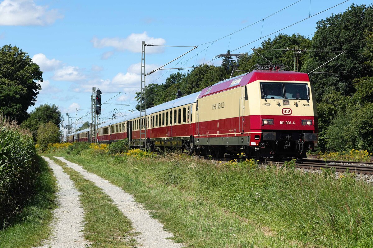 101 001 Rheingold am 31.8.2025 lockte einige Fotografen an die Knipsstelle bei Eglharting .