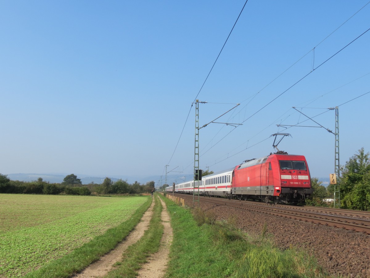 101 038 schiebt den IC2024 Passau-Hamburg die linke Rheinstrecke hinauf, hier bei Gau-Algesheim. Oktober 2014.