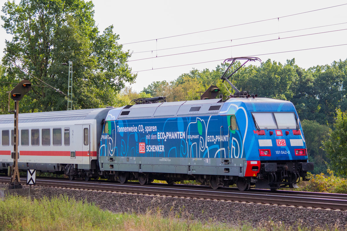 101 042  Ecophant  schiebt auf der KBS 110 bei Hohenbostel einen IC Richtung Hannover.  