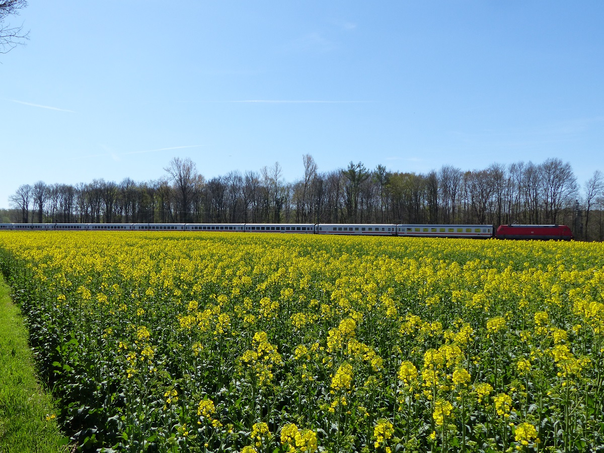 101 043 mit IC Berlin - Amsterdam in Rheine=Bentlage, 16.04.2022