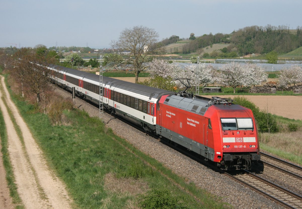 101 137 mit EC 9 (Hamburg-Altona–K�ln–Z�rich HB) am 22.04.2015 zwischen Buggingen und M�llheim (Baden)