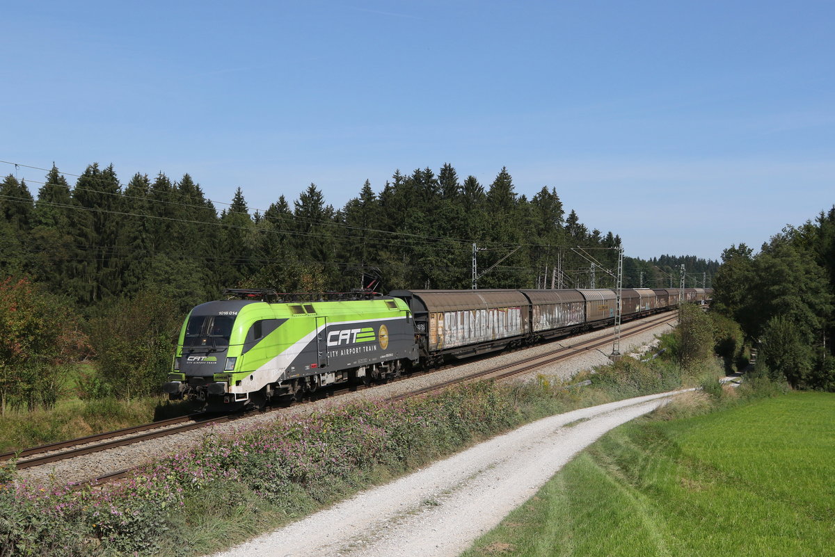 1016 014  CAT  mit Schiebewandwagen aus Salzburg kommend am 14. September 2020 bei Grabenstätt im Chiemgau.