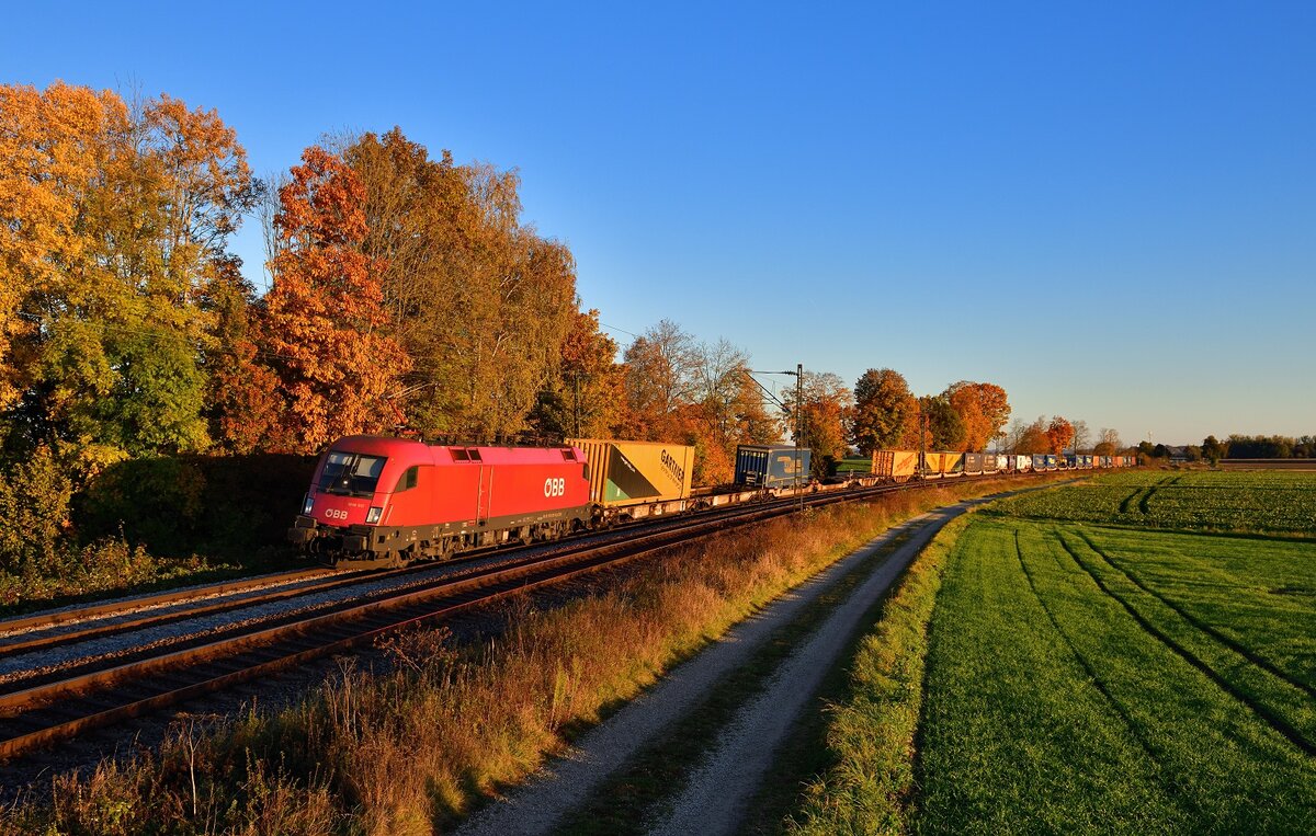 1016 017 mit einem KLV am 24.10.2021 bei Langenisarhofen.