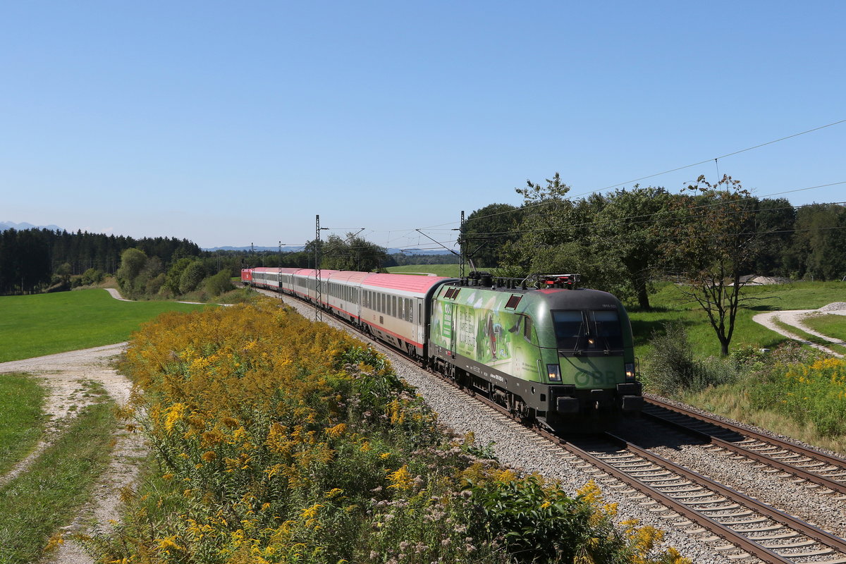 1016 020  Klimaschutz  mit einem  EC  aus München Kommend am 9. September 2020 bei Grabenstätt im Chiemgau.