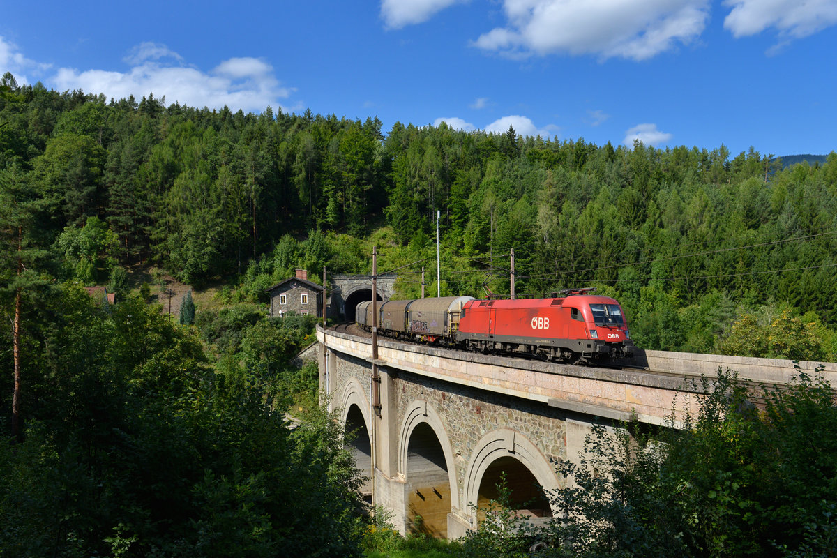 1016 020 mit einem Güterzug am 08.09.2017 bei Küb.