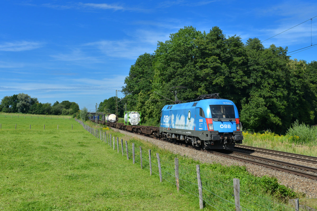 1016 023 mit einem KLV am 08.08.2014 bei Vogl.