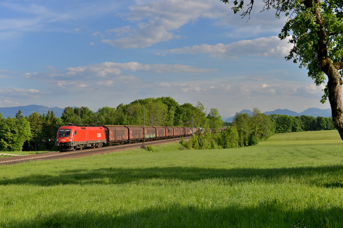 1016 030 mit einem Güterzug am 19.05.2012 bei Hilperting. 