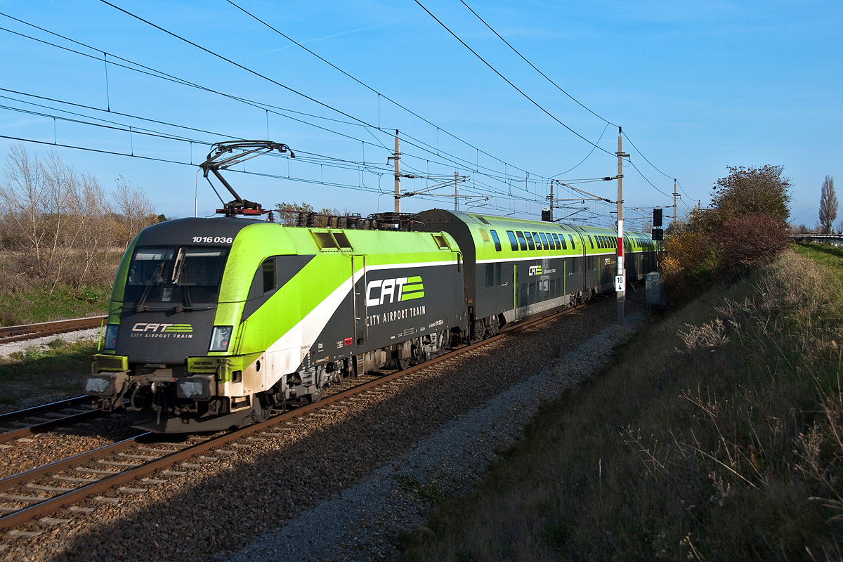 1016 036, wird mit dem CAT in wenigen Minuten den Flughafen Wien erreichen. Mannswörth, am 09.11.2014.