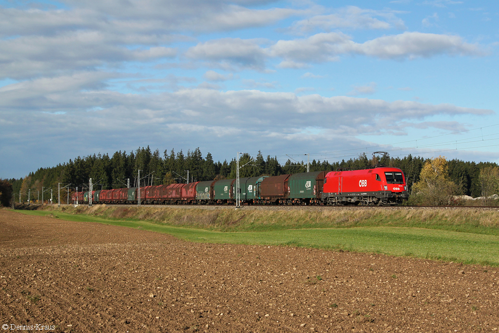 1016 048 mit einem Stahlzug am 02.11.2013 bei Otterfing.