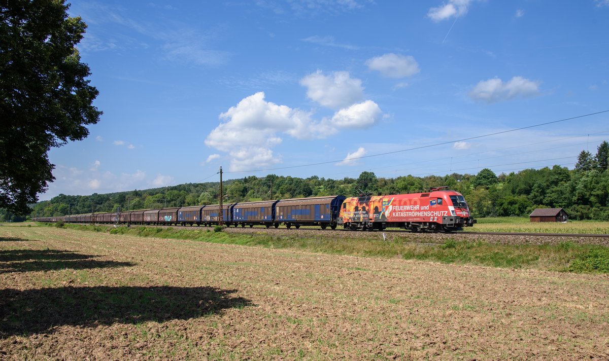 1016 048(Niederösterreichischer Landesfeuerwehrverband)der ÖBB mit DGS 50690 Richtung Ulm.Aufgenommen bei Ebersbach am 14.8.2016.