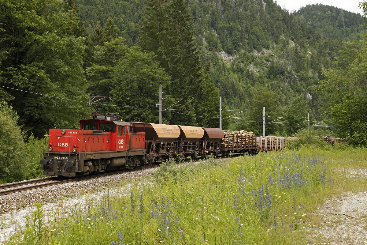 1063 015 mit Güterzug bei Gesäuse Eingang am 21.06.2016.