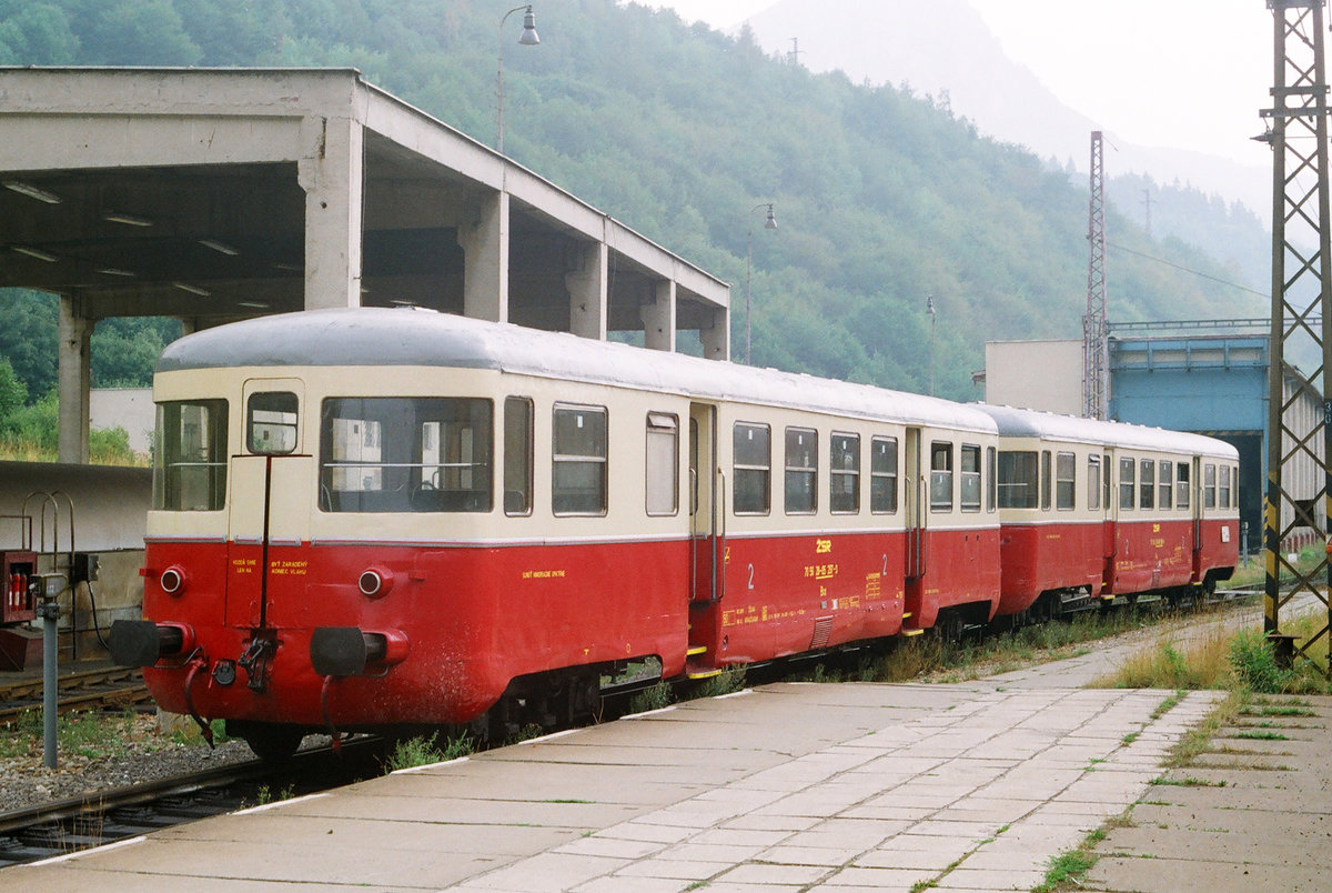11. August 1994	in der Slowakische Republik, diesen zweiteiligen Dieseltriebwagenzug sah ich zwischen Zilina und Trencin (Strecke 120).