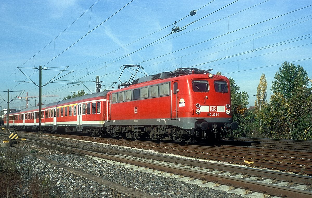 110 239  Tamm  27.10.05