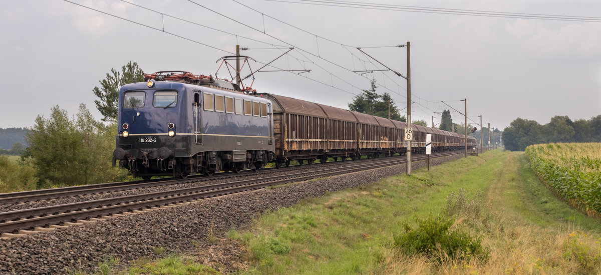 110 262-3 - Laubenzedel 11.08.20