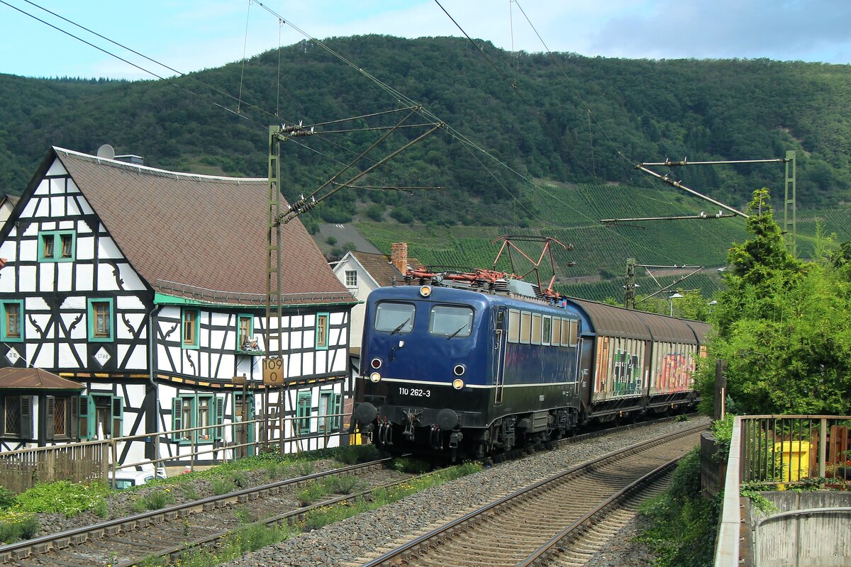110 262 durchfährt Filsen am 05.08.2021 auf der rechten Rheinseite in Richtung Süden