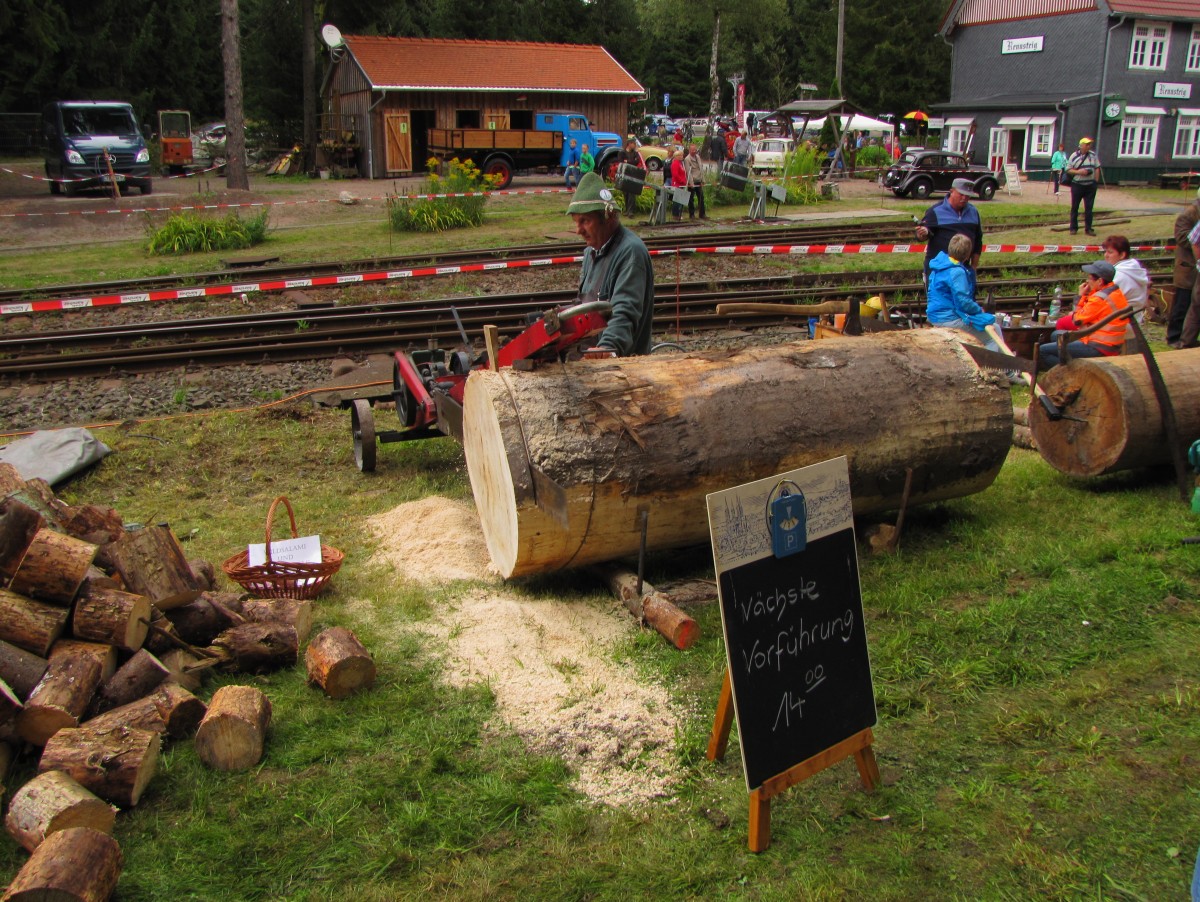 110. Streckengeburtstag am 23.08.2014 im Bahnhof Rennsteig. Auch neben den Gleisen gab es viel zu sehen.