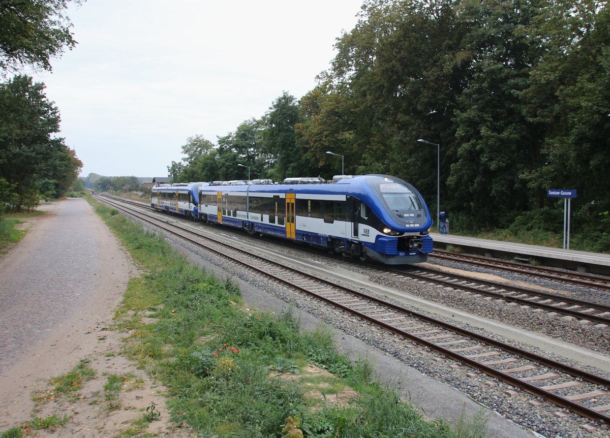 1.10.16 Seelow-Gusow. SA 139 020 / 632 525 Richtung Küstrin bei der Einfahrt.