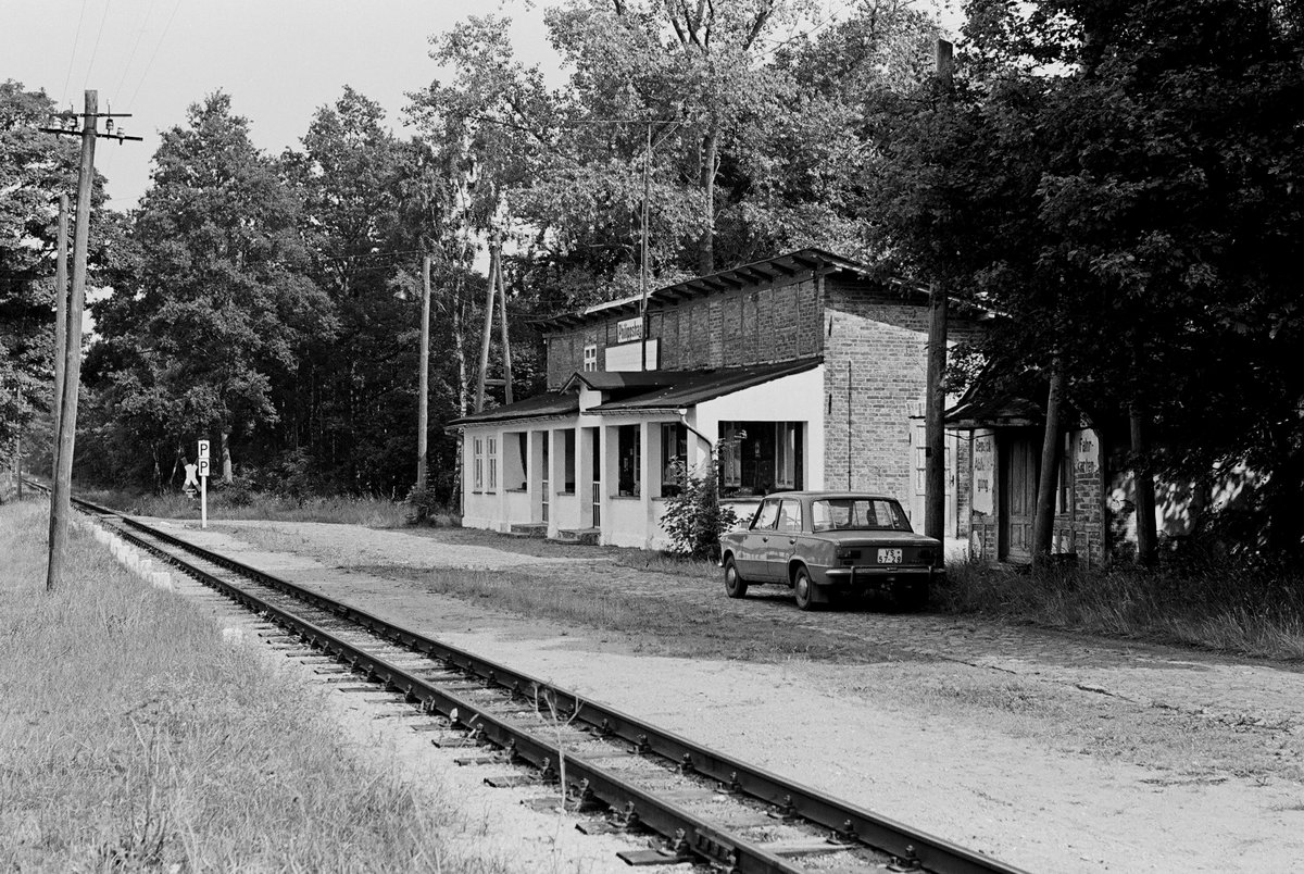 11.07.1981	Bahnstrecke Göhren - Putbus, am Haltepunkt Phillppshagen hielt kein Zug. Er war augenscheinlich schon damals in privater Hand.